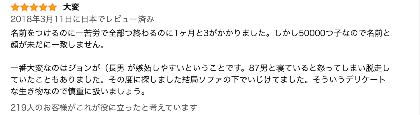 レビュー文章