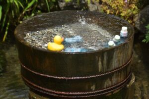 あひるまみれ50000羽のレビューランキング！癒しが必要ならコレ