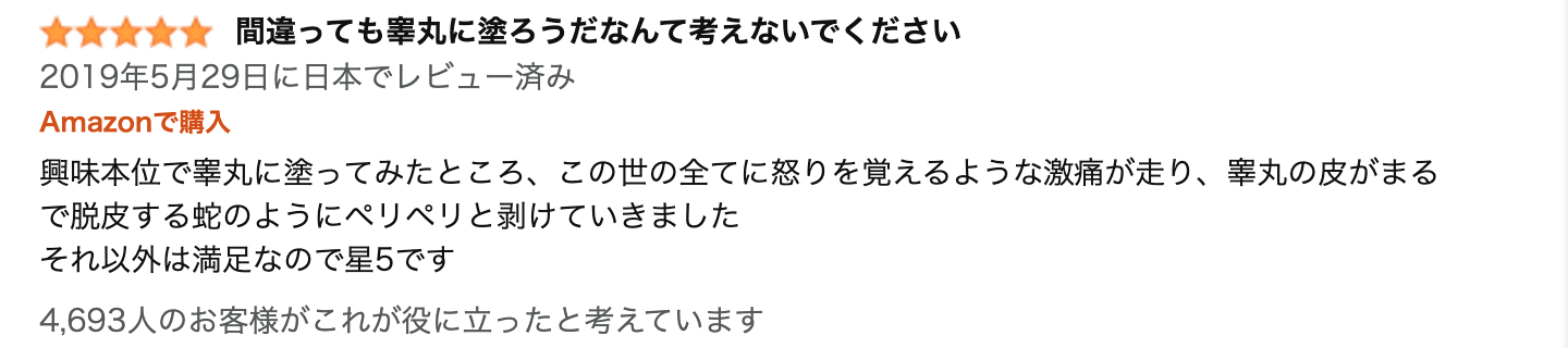 レビュー文章