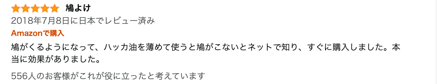 レビュー文章