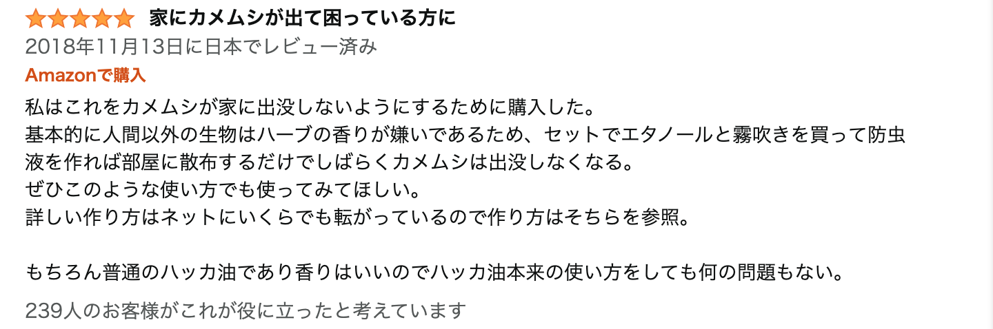 レビュー文章