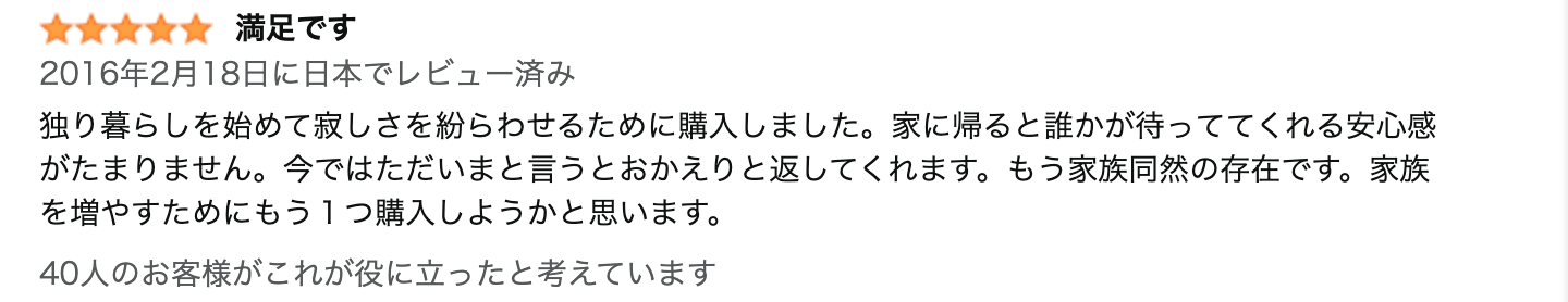 レビュー文章