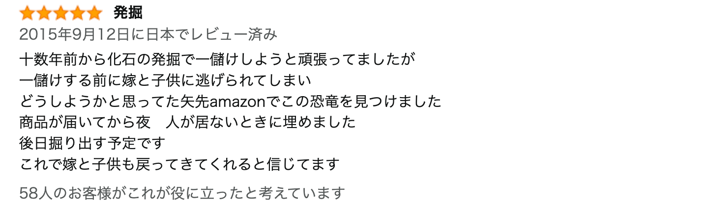 レビュー文章