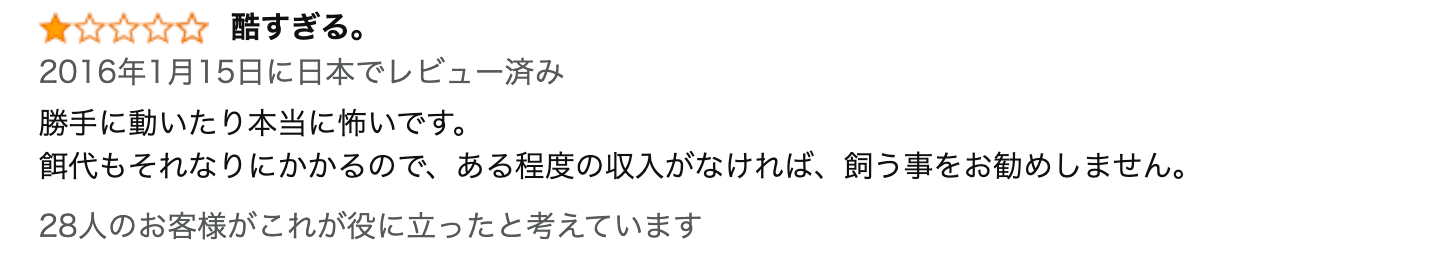 レビュー文章