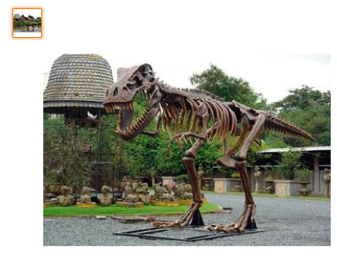全長８ｍ超！スケルトンT-REX（ティラノサウルス骨格） 超巨大造形物（恐竜等身大フィギュア）