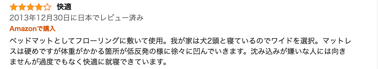 レビュー文章