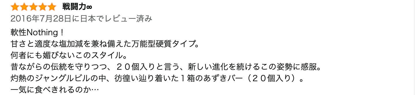 レビュー文章
