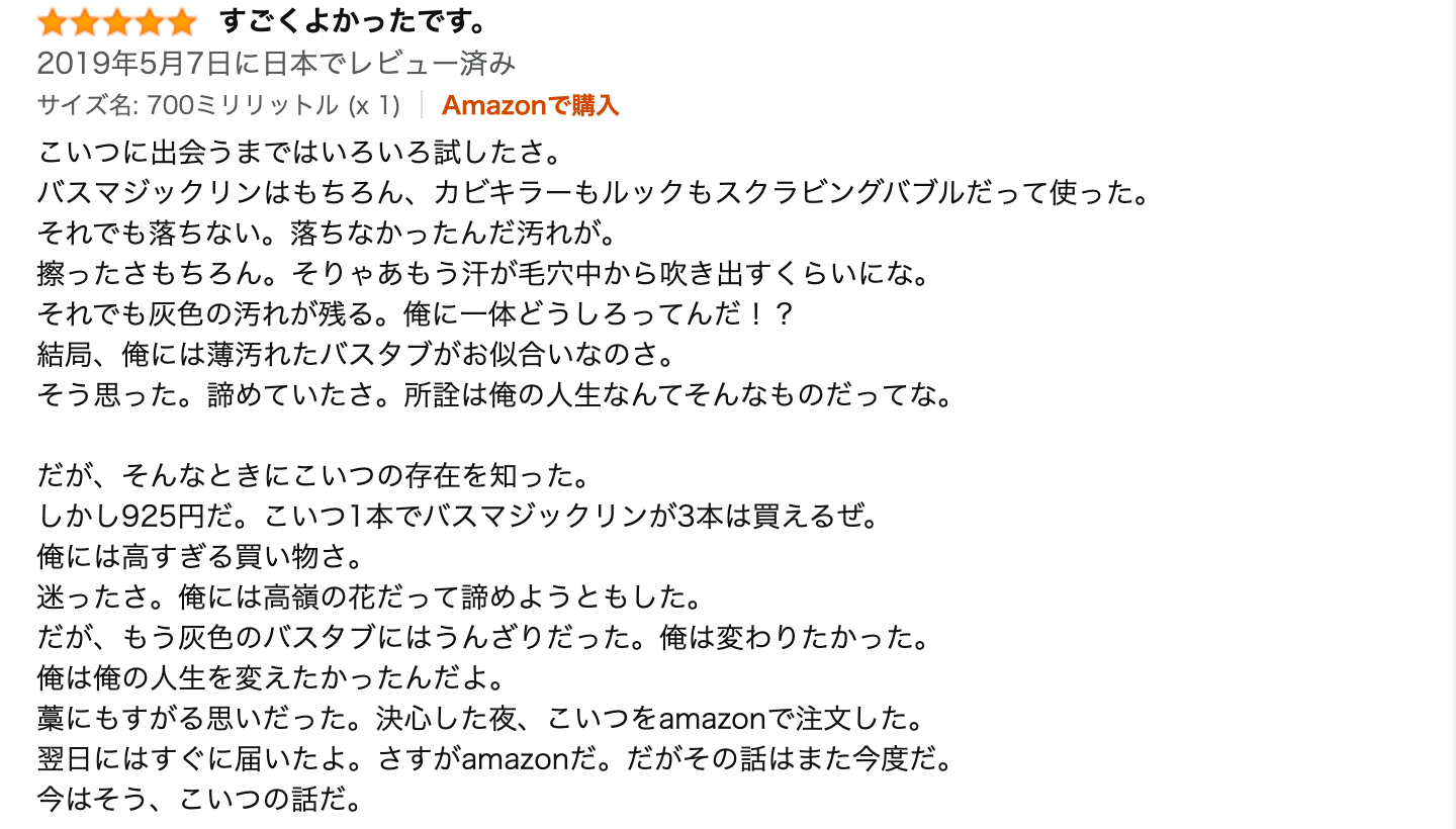 レビュー文章