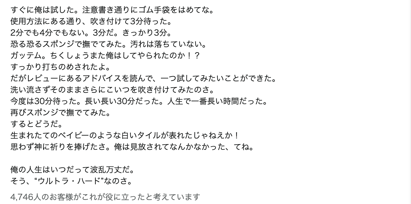 レビュー文章